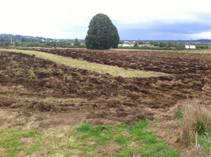 gallery/prep. terreno 2