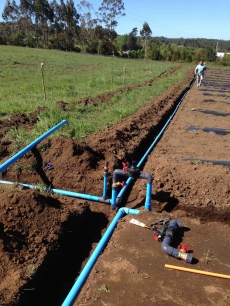 gallery/prep. terreno 17