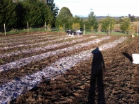 gallery/prep. terreno 5